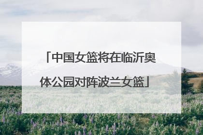 中国女篮将在临沂奥体公园对阵波兰女篮