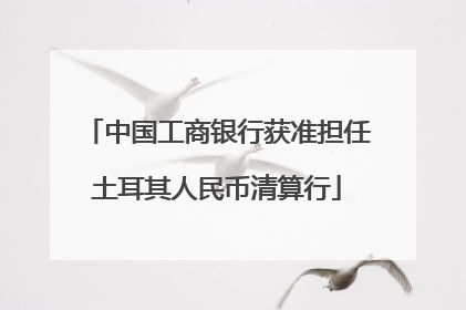 中国工商银行获准担任土耳其人民币清算行