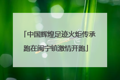 中国辉煌足迹火炬传承跑在闽宁镇激情开跑