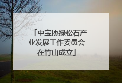 中宝协绿松石产业发展工作委员会在竹山成立
