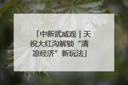 中新武威观｜天祝大红沟解锁“清凉经济”新玩法