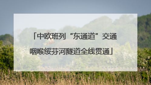 中欧班列“东通道”交通咽喉绥芬河隧道全线贯通
