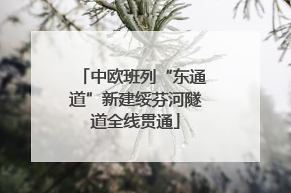 中欧班列“东通道”新建绥芬河隧道全线贯通
