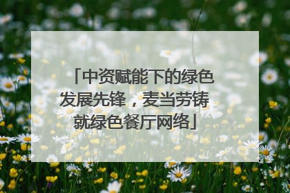中资赋能下的绿色发展先锋，麦当劳铸就绿色餐厅网络