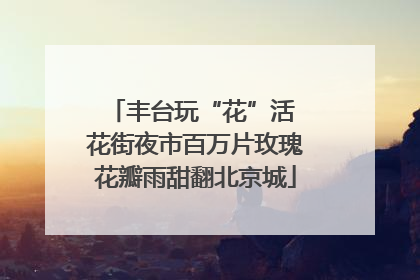 丰台玩“花”活 花街夜市百万片玫瑰花瓣雨甜翻北京城