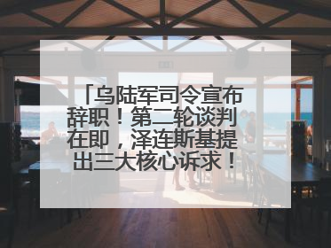 乌陆军司令宣布辞职！第二轮谈判在即，泽连斯基提出三大核心诉求！乌方透露摧毁41架俄战略轰炸机