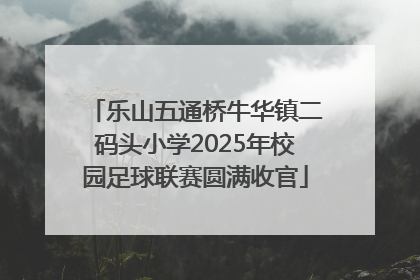 乐山五通桥牛华镇二码头小学2025年校园足球联赛圆满收官