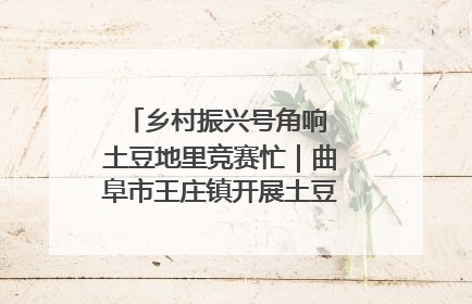 乡村振兴号角响 土豆地里竞赛忙｜曲阜市王庄镇开展土豆收获劳动竞赛