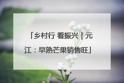 乡村行 看振兴｜元江：早熟芒果销售旺