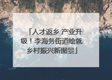 人才返乡 产业升级！李海务街道绘就乡村振兴新图景