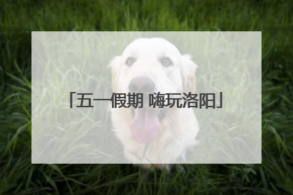 五一假期 嗨玩洛阳