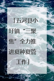 五河县小圩镇“三聚焦”全力推进夏种夏管工作