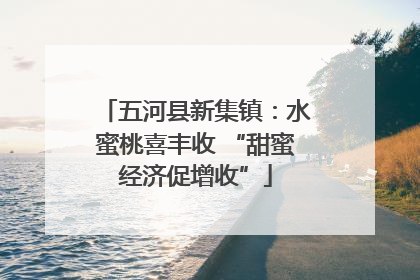 五河县新集镇：水蜜桃喜丰收 “甜蜜经济促增收”