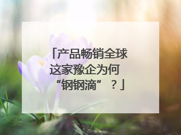 产品畅销全球 这家豫企为何“钢钢滴”？