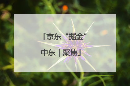 京东“掘金”中东｜聚焦