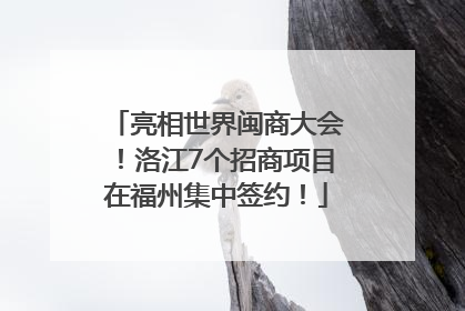 亮相世界闽商大会！洛江7个招商项目在福州集中签约！