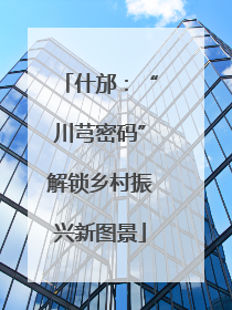 什邡：“川芎密码”解锁乡村振兴新图景