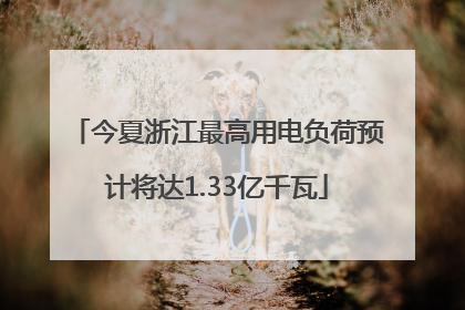 今夏浙江最高用电负荷预计将达1.33亿千瓦