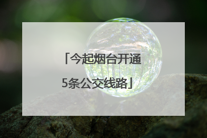 今起烟台开通5条公交线路
