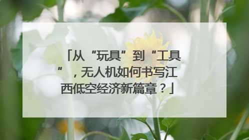 从“玩具”到“工具”，无人机如何书写江西低空经济新篇章？