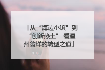 从“海边小镇”到“创新热土” 看温州翁垟的转型之道