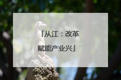 从江：改革赋能产业兴