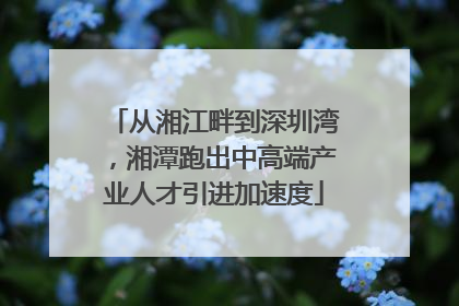 从湘江畔到深圳湾，湘潭跑出中高端产业人才引进加速度