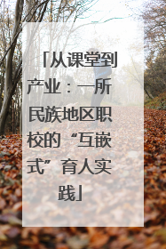 从课堂到产业：一所民族地区职校的“互嵌式”育人实践