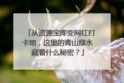 从资源宝库变网红打卡地，这里的青山绿水藏着什么秘密？