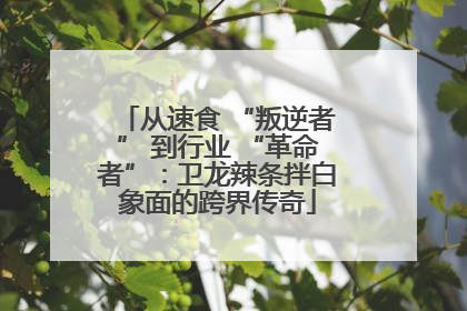从速食 “叛逆者” 到行业 “革命者”：卫龙辣条拌白象面的跨界传奇