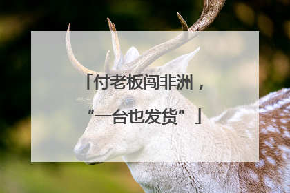 付老板闯非洲，“一台也发货”