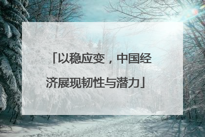 以稳应变，中国经济展现韧性与潜力