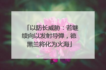 以防长威胁：若继续向以发射导弹，德黑兰将化为火海