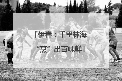 伊春：千里林海“烹”出百味鲜