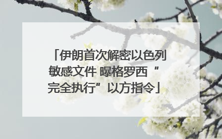 伊朗首次解密以色列敏感文件 曝格罗西“完全执行”以方指令