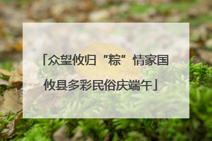 众望攸归“粽”情家国 攸县多彩民俗庆端午