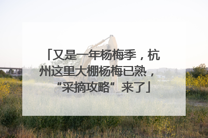 又是一年杨梅季，杭州这里大棚杨梅已熟，“采摘攻略”来了