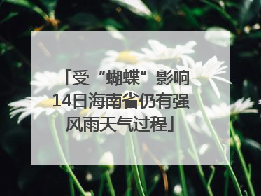 受“蝴蝶”影响 14日海南省仍有强风雨天气过程