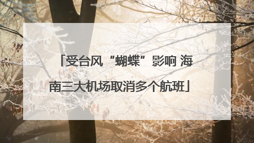 受台风“蝴蝶”影响 海南三大机场取消多个航班