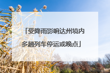 受降雨影响达州境内多趟列车停运或晚点
