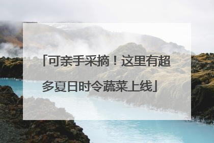 可亲手采摘！这里有超多夏日时令蔬菜上线
