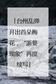 台州乱弹开出首朵梅花，“浙婺现象”再度续写