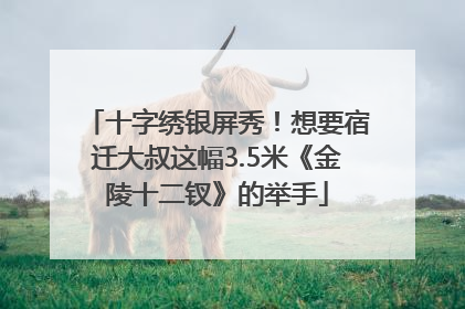 十字绣银屏秀！想要宿迁大叔这幅3.5米《金陵十二钗》的举手