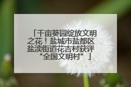 千亩葵园绽放文明之花！盐城市盐都区盐渎街道花吉村获评“全国文明村”