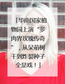 华南国家植物园上演“多肉界玫瑰传奇”，从呆萌树干到炸裂种子全是戏！