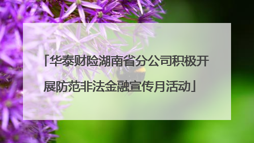 华泰财险湖南省分公司积极开展防范非法金融宣传月活动