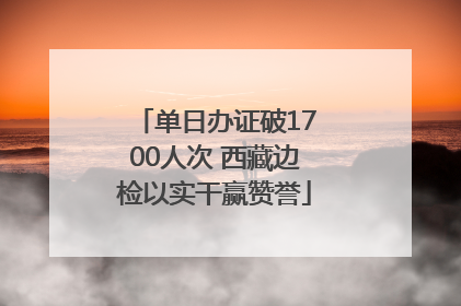 单日办证破1700人次 西藏边检以实干赢赞誉