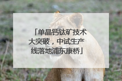 单晶钙钛矿技术大突破，中试生产线落地浦东康桥