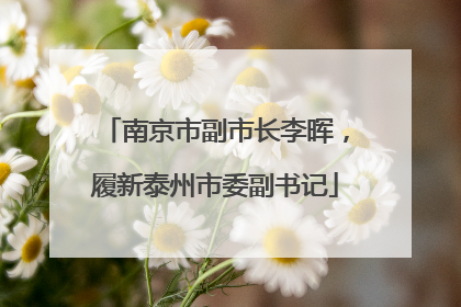 南京市副市长李晖，履新泰州市委副书记
