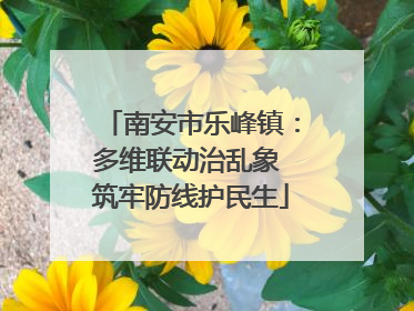 南安市乐峰镇：多维联动治乱象 筑牢防线护民生